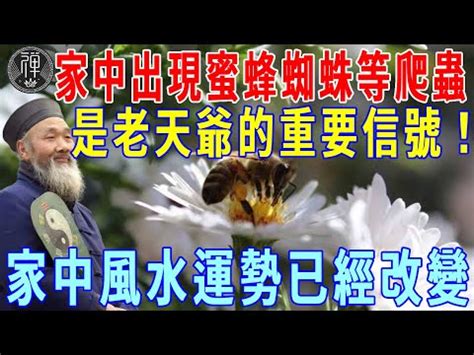 家有蜂巢 風水|【蜂窩風水】家有蜂窩風水吉凶解密：黃蜂入宅，招財。